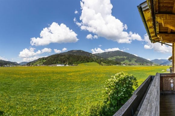 Almrausch - Ferienwohnung in Flachau, Feriengut Fingerhof