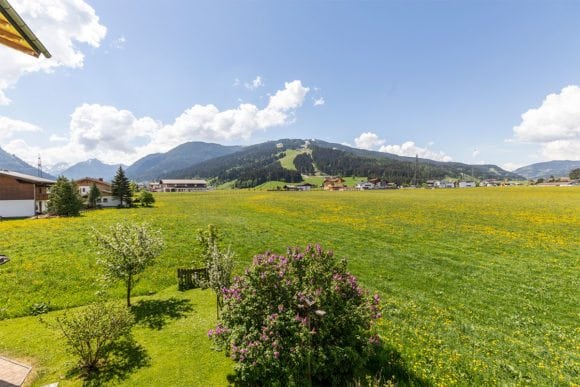 Edelweiß - Ferienwohnung in Flachau, Feriengut Fingerhof