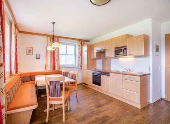 Enzian - Ferienwohnung in Flachau, Feriengut Fingerhof
