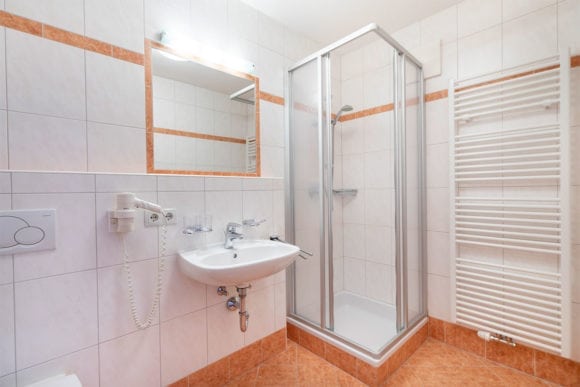 Schneerose - Ferienwohnung in Flachau, Feriengut Fingerhof