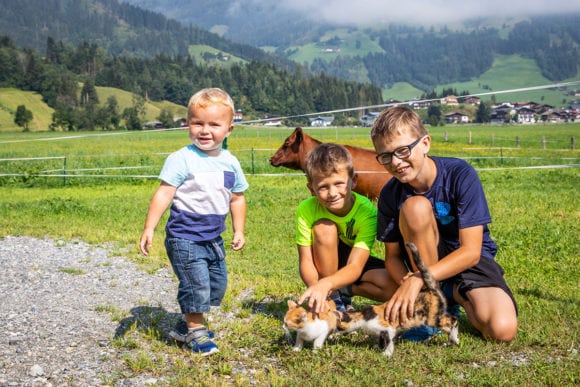 Tiere am Fingerhof in Flachau, Bauernhofurlaub im Salzburger Land